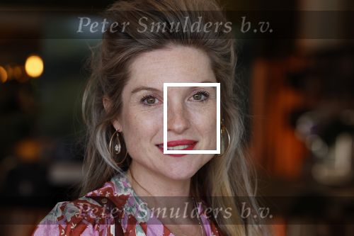 Hilversum 30 augustus 2022
Perspresentatie NPO in theater Gooiland.
Lauren Verster hoog zwanger