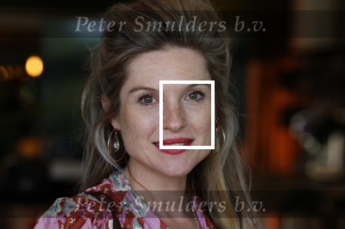 Hilversum 30 augustus 2022
Perspresentatie NPO in theater Gooiland.
Lauren Verster hoog zwanger