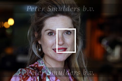 Hilversum 30 augustus 2022
Perspresentatie NPO in theater Gooiland.
Lauren Verster hoog zwanger