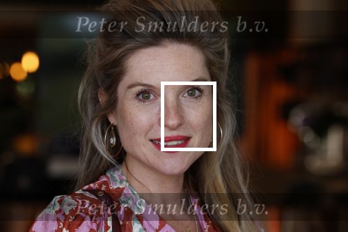 Hilversum 30 augustus 2022
Perspresentatie NPO in theater Gooiland.
Lauren Verster hoog zwanger