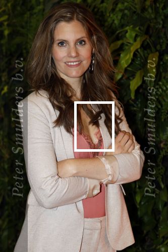 Hilversum 30 augustus 2022
Perspresentatie NPO in theater Gooiland. Maaike Timmerman