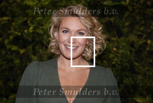 Hilversum 30 augustus 2022
Perspresentatie NPO in theater Gooiland.
Marlijn Weerdenburg