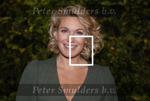 Hilversum 30 augustus 2022
Perspresentatie NPO in theater Gooiland.
Marlijn Weerdenburg