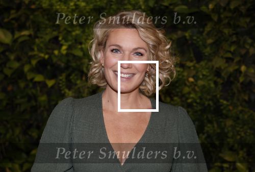 Hilversum 30 augustus 2022
Perspresentatie NPO in theater Gooiland.
Marlijn Weerdenburg