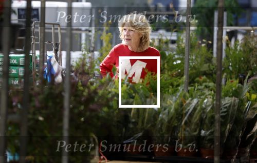 Amsterdam 1 augustus 2022
Mieke v d Weij op de markt in Amsterdam bij de Utrechtse straat.