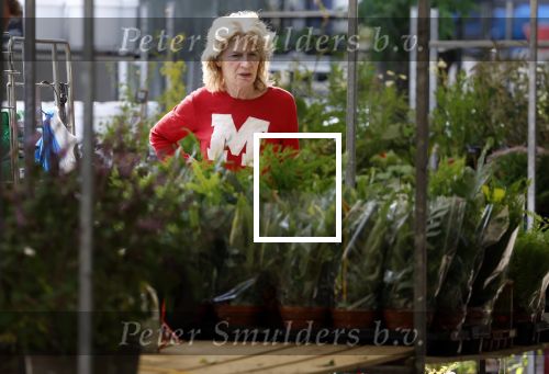 Amsterdam 1 augustus 2022
Mieke v d Weij op de markt in Amsterdam bij de Utrechtse straat.