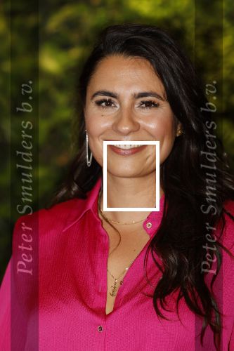Hilversum 30 augustus 2022
Perspresentatie NPO in theater Gooiland.
Nadia Moussaid