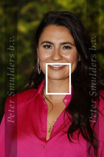 Hilversum 30 augustus 2022
Perspresentatie NPO in theater Gooiland.
Nadia Moussaid