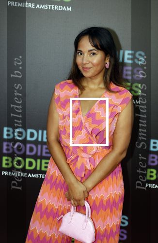 Amsterdam 24 augustus 2022
Premiere Bodies Bodies Bosies van Halina Reijn in Tuschinski . Nienke v Dijk