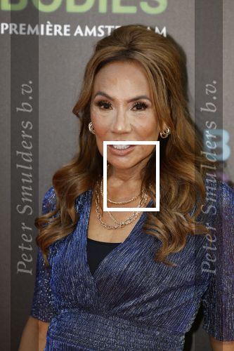 Amsterdam 24 augustus 2022
Oremiere Bodies Bodies Bosies van Halina Reijn in Tuschinski . Patty Brard kwam met haar dochter Priscilla Nasi