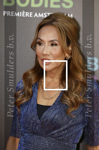 Amsterdam 24 augustus 2022
Oremiere Bodies Bodies Bosies van Halina Reijn in Tuschinski . Patty Brard kwam met haar dochter Priscilla Nasi
