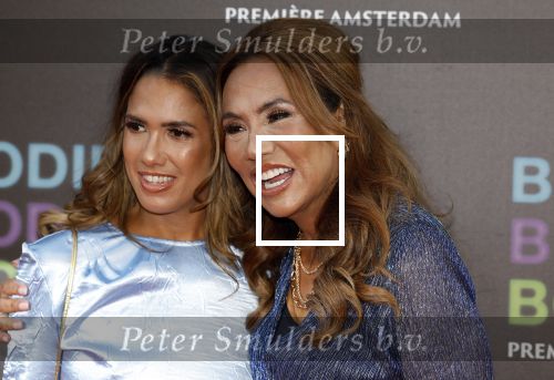 Amsterdam 24 augustus 2022
Oremiere Bodies Bodies Bosies van Halina Reijn in Tuschinski . Patty Brard kwam met haar dochter Priscilla Nasi