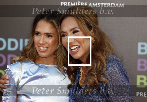Amsterdam 24 augustus 2022
Oremiere Bodies Bodies Bosies van Halina Reijn in Tuschinski . Patty Brard kwam met haar dochter Priscilla Nasi