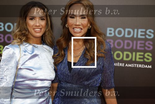 Amsterdam 24 augustus 2022
Oremiere Bodies Bodies Bosies van Halina Reijn in Tuschinski . Patty Brard kwam met haar dochter Priscilla Nasi
