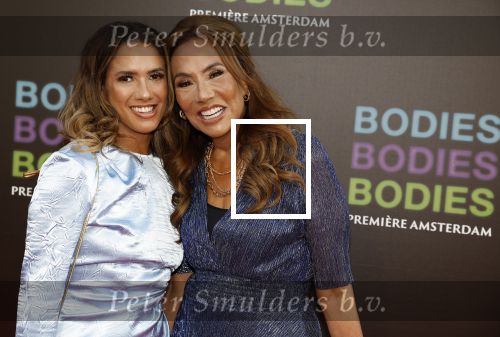 Amsterdam 24 augustus 2022
Oremiere Bodies Bodies Bosies van Halina Reijn in Tuschinski . Patty Brard kwam met haar dochter Priscilla Nasi