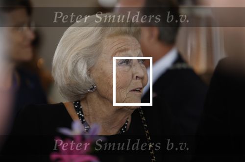 Zevenhuizen 8 september 2022
Prinses Beatrix bij 300 jarig bestaan van de molen in Zevenhuizen .