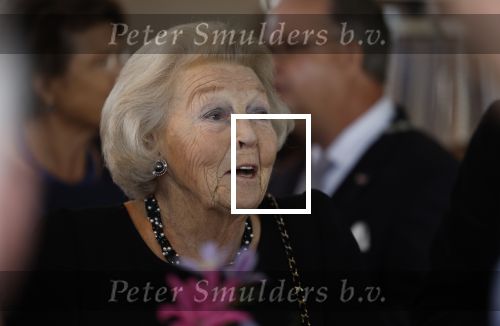 Zevenhuizen 8 september 2022
Prinses Beatrix bij 300 jarig bestaan van de molen in Zevenhuizen .