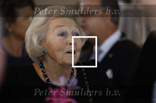 Zevenhuizen 8 september 2022
Prinses Beatrix bij 300 jarig bestaan van de molen in Zevenhuizen .