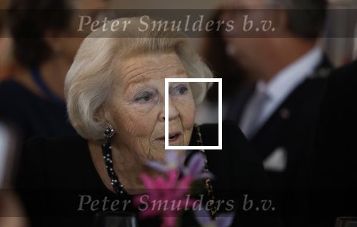 Zevenhuizen 8 september 2022
Prinses Beatrix bij 300 jarig bestaan van de molen in Zevenhuizen .