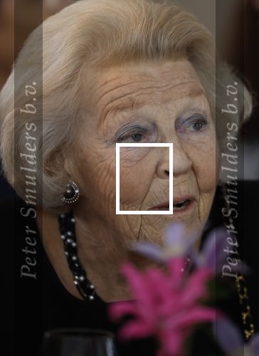 Zevenhuizen 8 september 2022
Prinses Beatrix bij 300 jarig bestaan van de molen in Zevenhuizen .