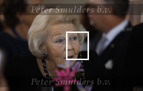 Zevenhuizen 8 september 2022
Prinses Beatrix bij 300 jarig bestaan van de molen in Zevenhuizen .