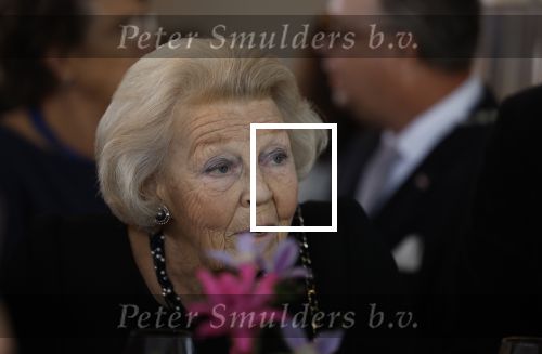 Zevenhuizen 8 september 2022
Prinses Beatrix bij 300 jarig bestaan van de molen in Zevenhuizen .