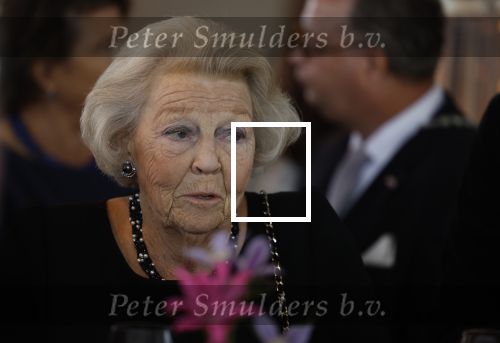 Zevenhuizen 8 september 2022
Prinses Beatrix bij 300 jarig bestaan van de molen in Zevenhuizen .