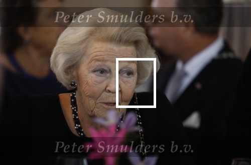 Zevenhuizen 8 september 2022
Prinses Beatrix bij 300 jarig bestaan van de molen in Zevenhuizen .