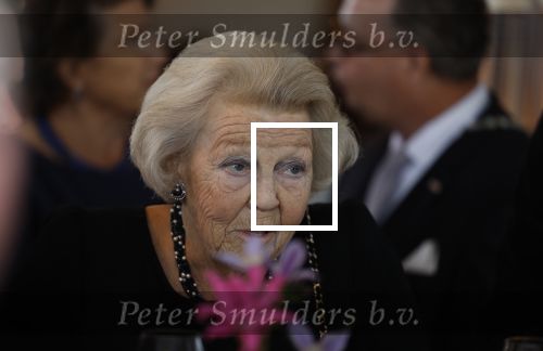 Zevenhuizen 8 september 2022
Prinses Beatrix bij 300 jarig bestaan van de molen in Zevenhuizen .