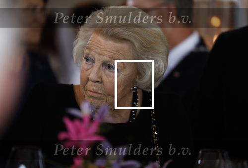 Zevenhuizen 8 september 2022
Prinses Beatrix bij 300 jarig bestaan van de molen in Zevenhuizen .