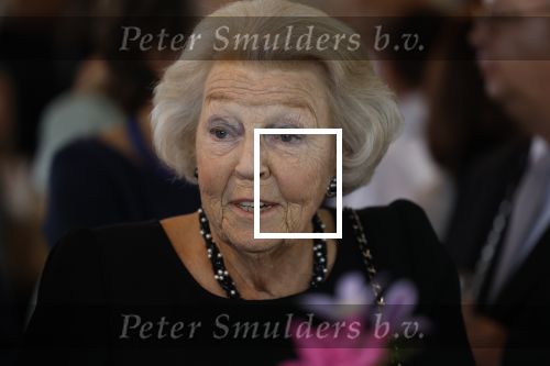 Zevenhuizen 8 september 2022
Prinses Beatrix bij 300 jarig bestaan van de molen in Zevenhuizen .