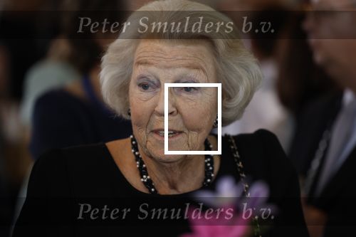 Zevenhuizen 8 september 2022
Prinses Beatrix bij 300 jarig bestaan van de molen in Zevenhuizen .
