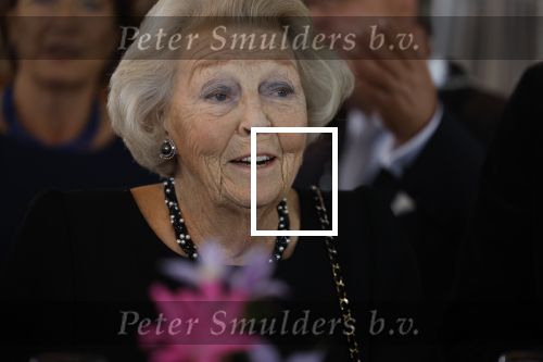 Zevenhuizen 8 september 2022
Prinses Beatrix bij 300 jarig bestaan van de molen in Zevenhuizen .