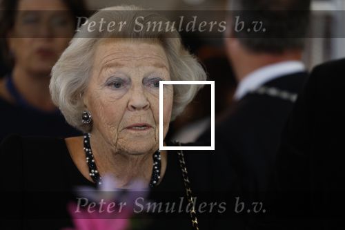 Zevenhuizen 8 september 2022
Prinses Beatrix bij 300 jarig bestaan van de molen in Zevenhuizen .
