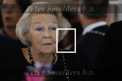 Zevenhuizen 8 september 2022
Prinses Beatrix bij 300 jarig bestaan van de molen in Zevenhuizen .