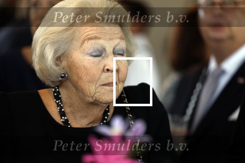 Zevenhuizen 8 september 2022
Prinses Beatrix bij 300 jarig bestaan van de molen in Zevenhuizen .