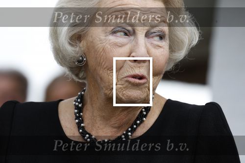 Zevenhuizen 8 september 2022
Prinses Beatrix bij 300 jarig bestaan van de molen in Zevenhuizen .