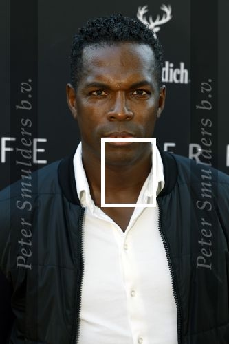 Aouderkerk aan de Amstel 31 augustus 2022
Herendiner Life after Football LAF bij paardenburg. Ook het blad met Ronald Koeman op de cover wordt gepresenteerd. Remy Bonjasky