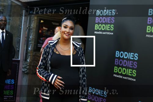 Amsterdam 24 augustus 2022
Oremiere Bodies Bodies Bosies van Halina Reijn in Tuschinski . Soundos zwanger