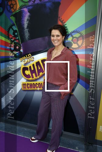 Amsterdam 11 september 2022
Premiere Charlie\'s chocolade fabriek in het nieuwe deLamar . Susan Visser