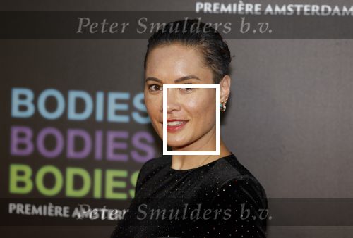 Amsterdam 24 augustus 2022
Premiere Bodies Bodies Bosies van Halina Reijn in Tuschinski . Terence Schreurs