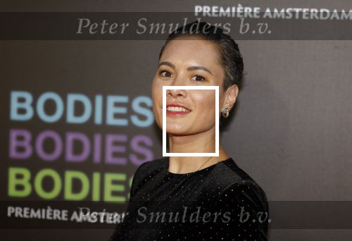 Amsterdam 24 augustus 2022
Premiere Bodies Bodies Bosies van Halina Reijn in Tuschinski . Terence Schreurs