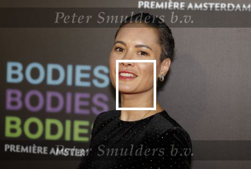 Amsterdam 24 augustus 2022
Premiere Bodies Bodies Bosies van Halina Reijn in Tuschinski . Terence Schreurs