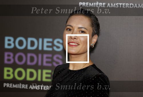 Amsterdam 24 augustus 2022
Premiere Bodies Bodies Bosies van Halina Reijn in Tuschinski . Terence Schreurs