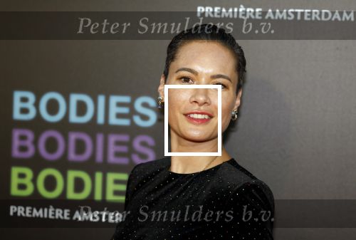 Amsterdam 24 augustus 2022
Premiere Bodies Bodies Bosies van Halina Reijn in Tuschinski . Terence Schreurs