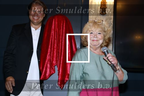 Den Haag 2 september 2022
Onthulling beeld Anneke Gronloh in de schouwburg van Den Haag . Tineke de Nooij
