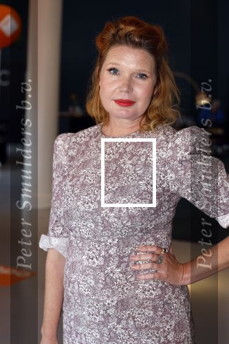 Hilversum 30 augustus 2022
Perspresentatie NPO in theater Gooiland.
Tjitske Reidinga