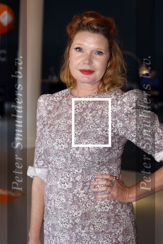 Hilversum 30 augustus 2022
Perspresentatie NPO in theater Gooiland.
Tjitske Reidinga