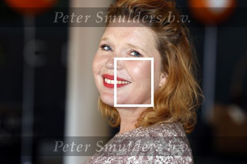 Hilversum 30 augustus 2022
Perspresentatie NPO in theater Gooiland.
Tjitske Reidinga