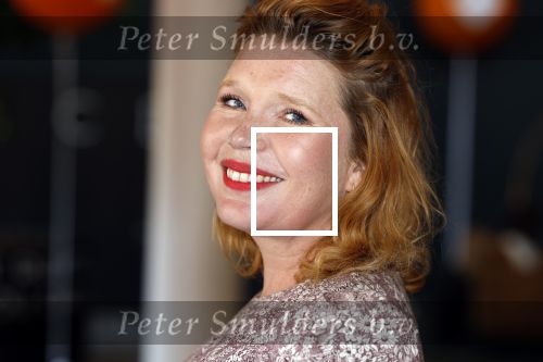 Hilversum 30 augustus 2022
Perspresentatie NPO in theater Gooiland.
Tjitske Reidinga